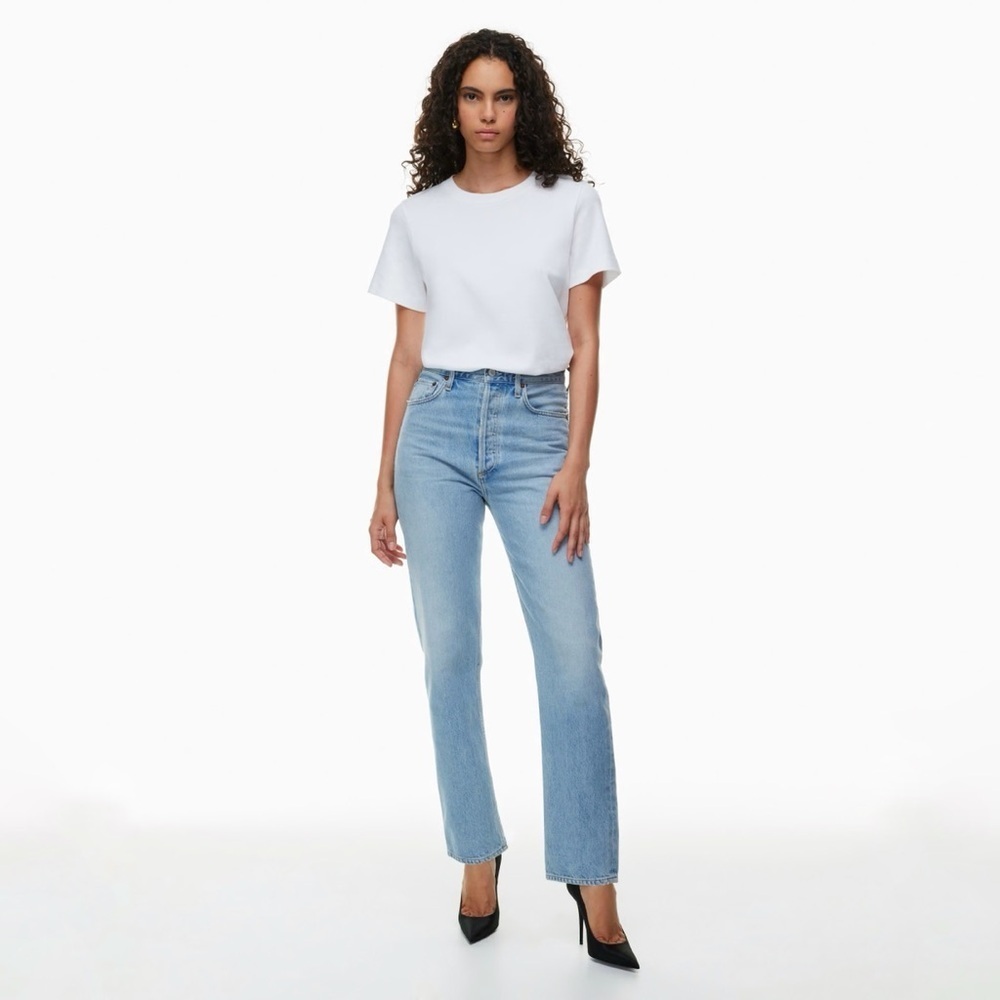 NWT AGOLDE 90s Pinch Waist High Waist Straight Leg Jeans